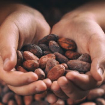 CHOCOLATE-QUE-CUIDA-CHUCULAT-WEB